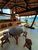 Casa, 4 quartos, 453 m² - Foto 3