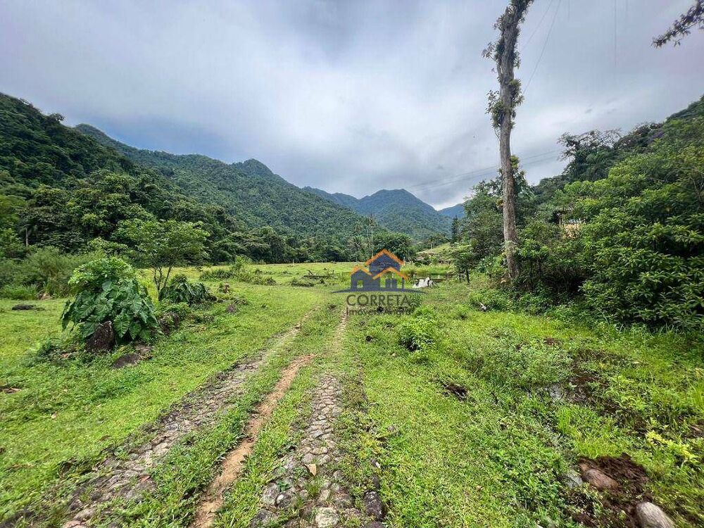 Fazenda à venda com 3 quartos, 640M2 - Foto 3