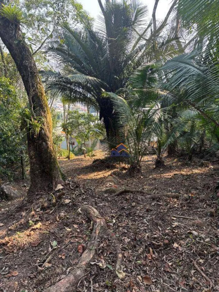 Terreno, 420 m² - Foto 6