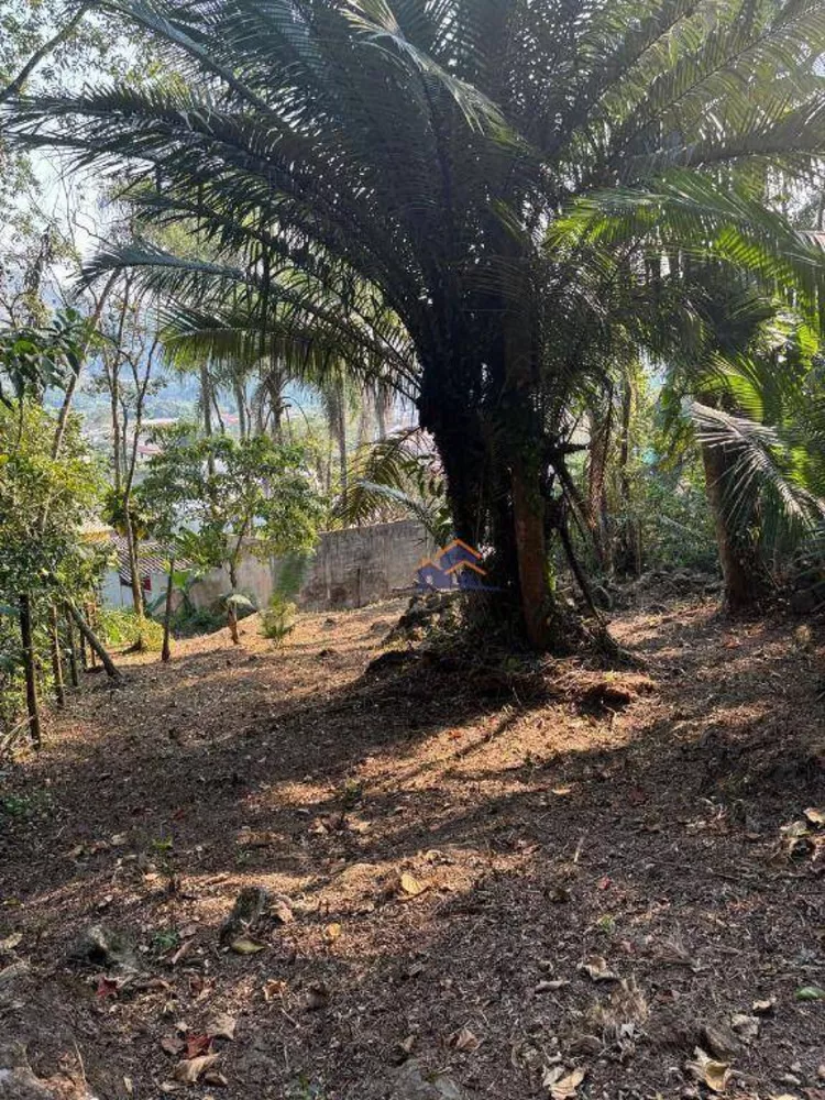 Terreno, 420 m² - Foto 8