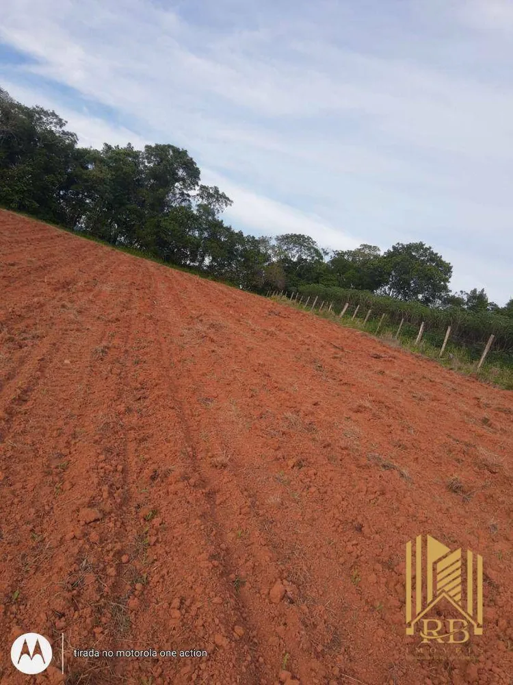 Terreno, 2 hectares - Foto 6
