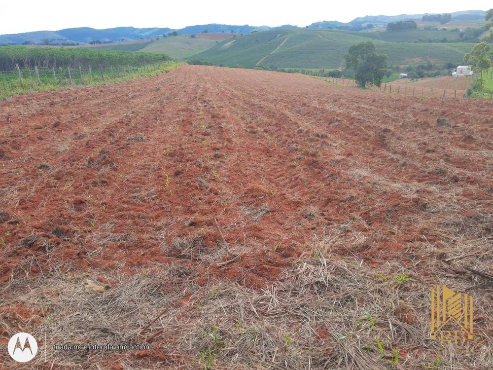 Terreno, 2 hectares - Foto 4