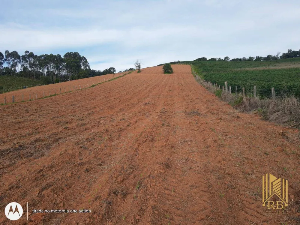 Terreno, 2 hectares - Foto 3