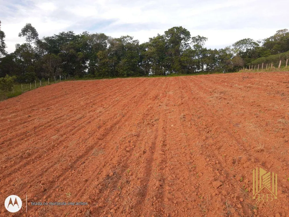 Terreno, 2 hectares - Foto 2