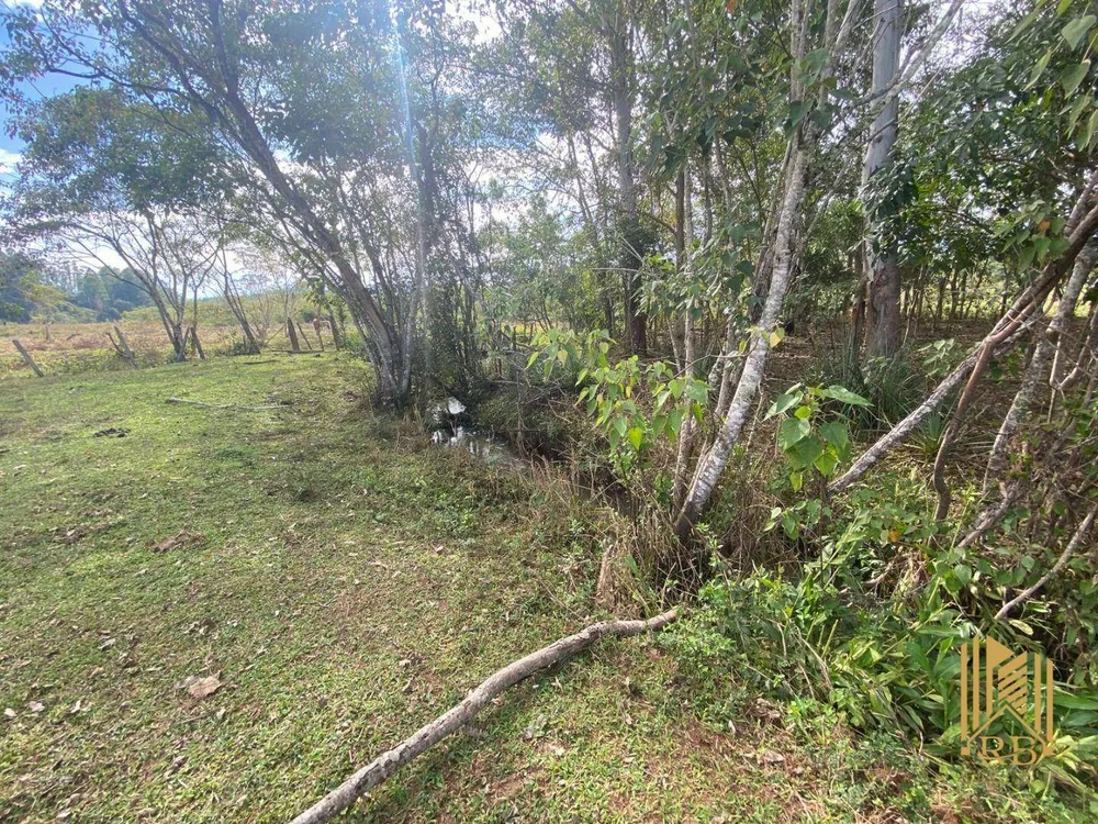 Chácara, 3 quartos, 2 hectares - Foto 4