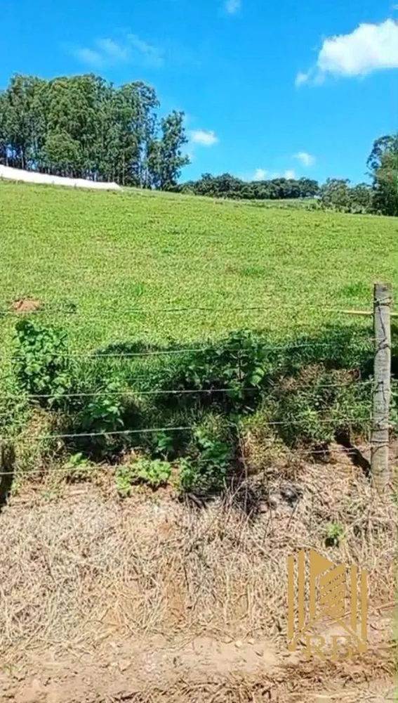 Chácara, 6000 m² - Foto 2