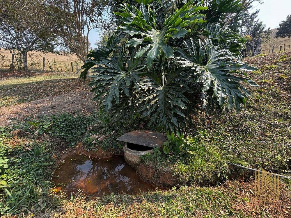 Chácara, 6050 m² - Foto 14