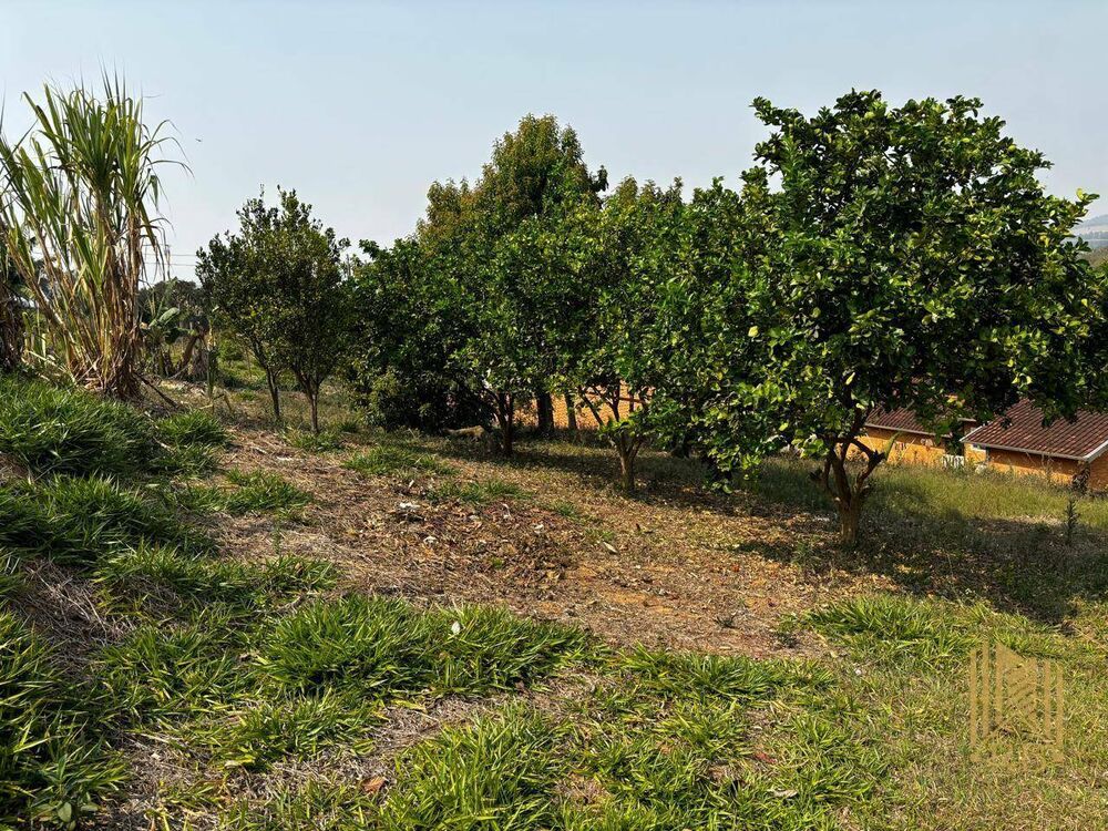 Chácara, 6050 m² - Foto 17