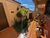 Casa, 4 quartos, 227 m² - Foto 5