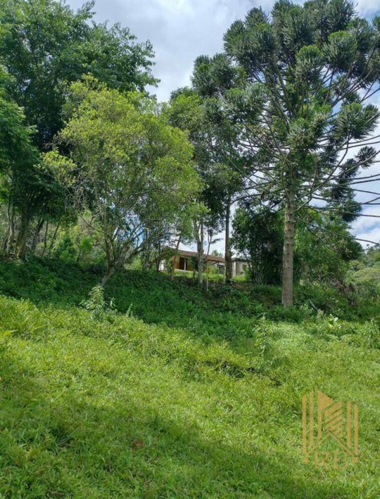 Chácara, 2 quartos, 10 hectares - Foto 12