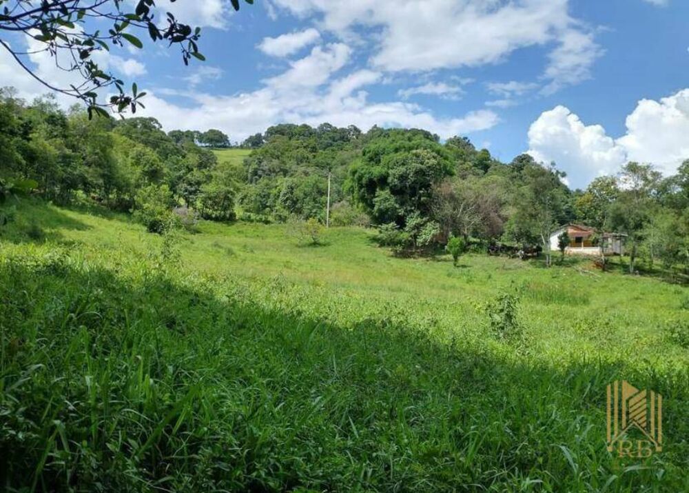 Chácara, 2 quartos, 10 hectares - Foto 6