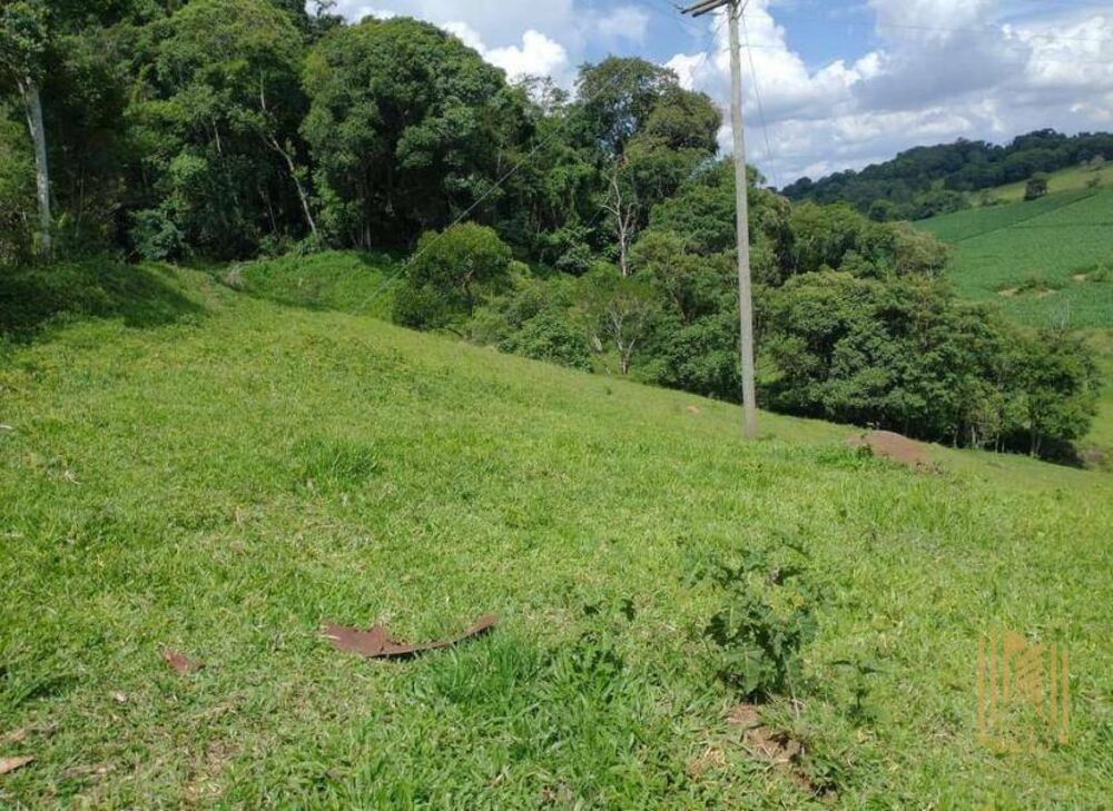 Chácara, 2 quartos, 10 hectares - Foto 10