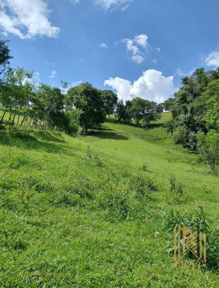 Chácara, 2 quartos, 10 hectares - Foto 3