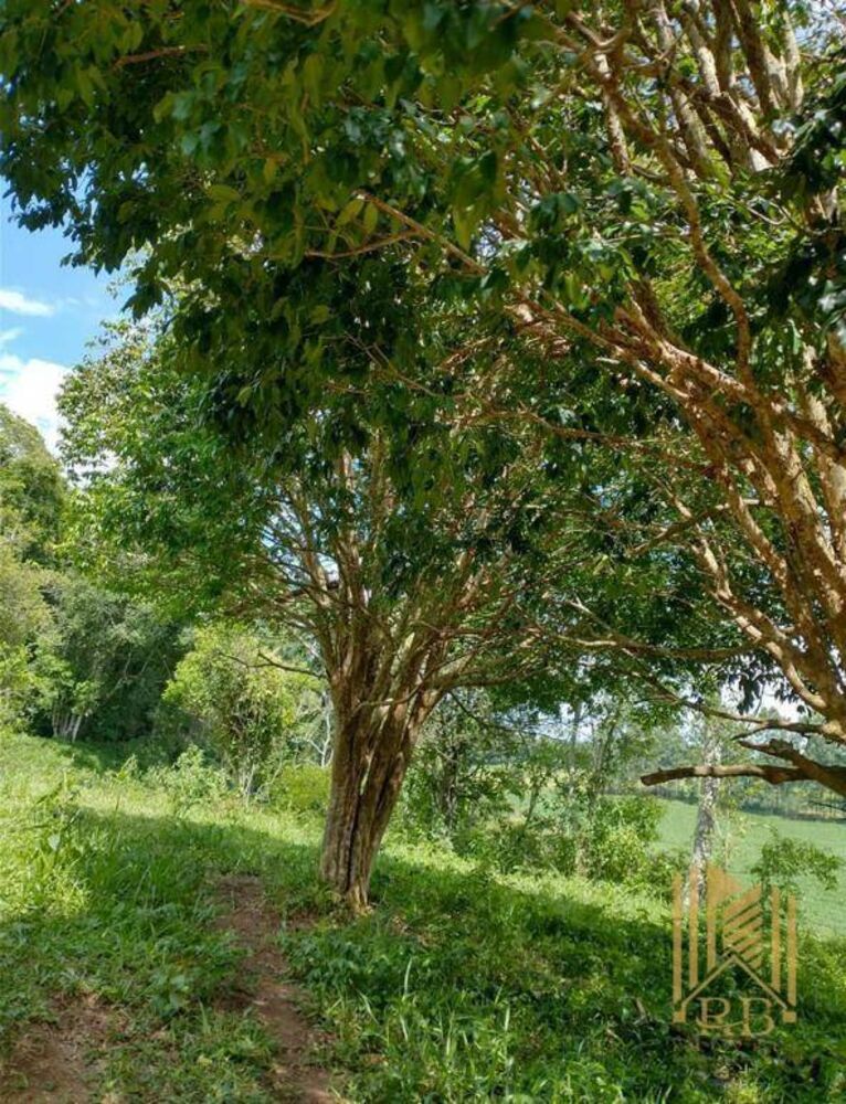 Chácara, 2 quartos, 10 hectares - Foto 2