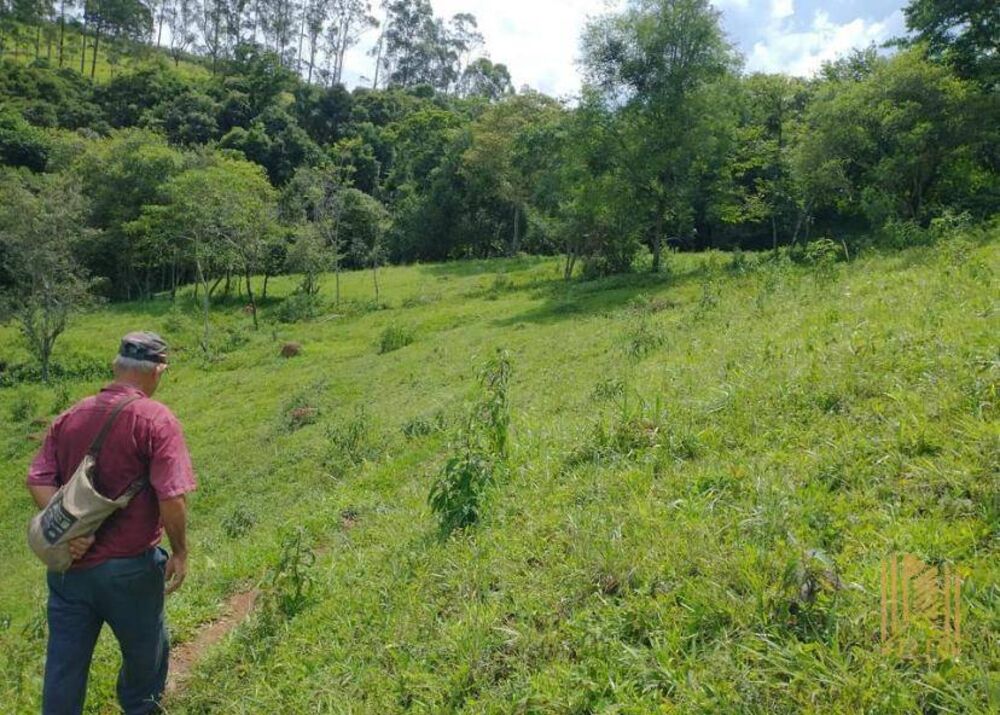 Chácara, 2 quartos, 10 hectares - Foto 14