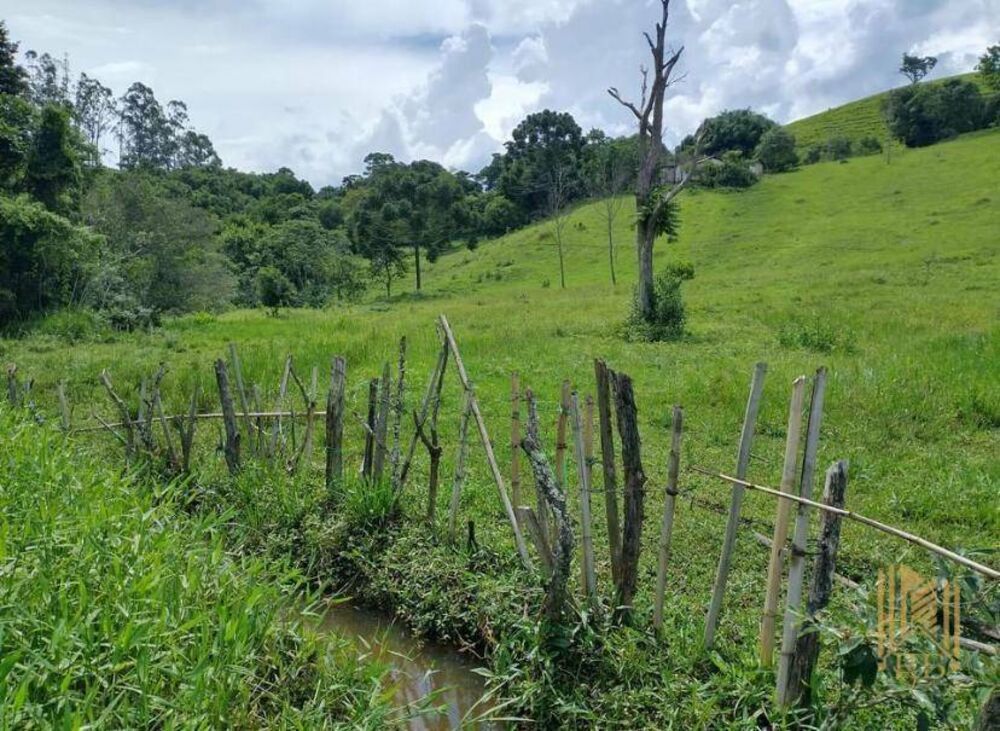 Chácara, 2 quartos, 10 hectares - Foto 13