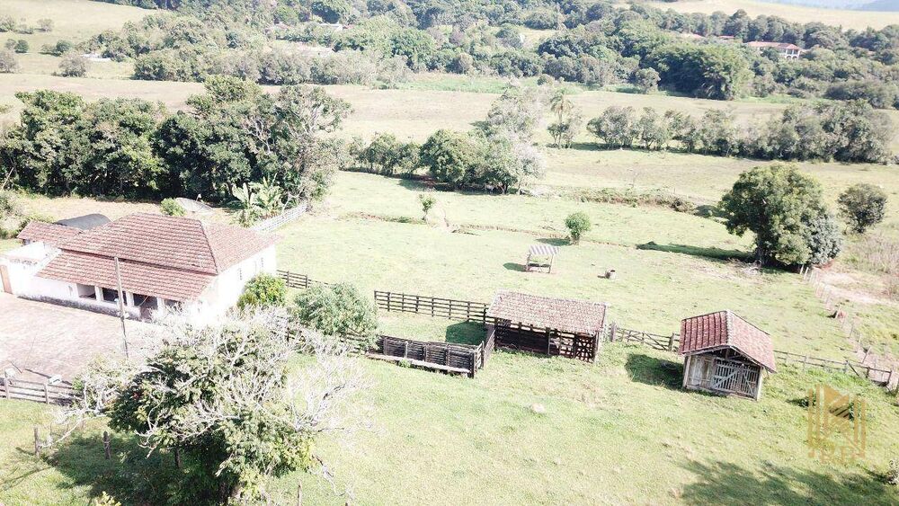 Terreno, 24 hectares - Foto 4