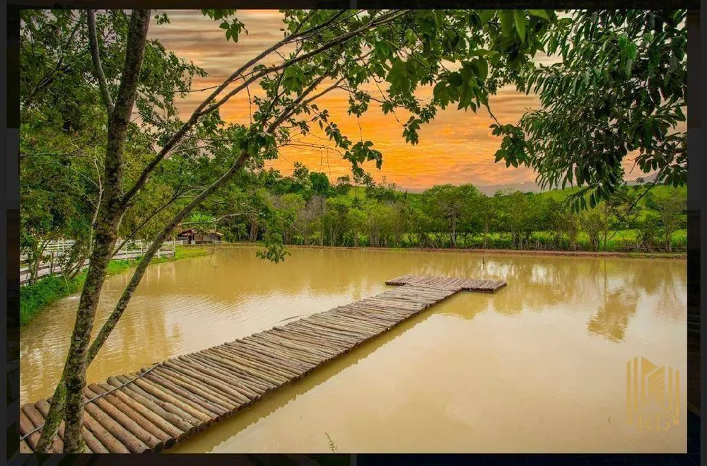 Fazenda, 6 hectares - Foto 9