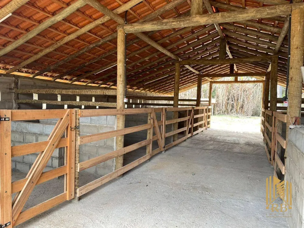 Fazenda, 6 hectares - Foto 3