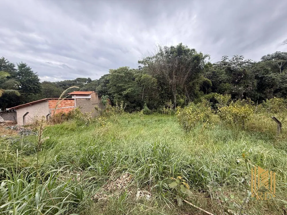 Terreno, 1000 m² - Foto 3