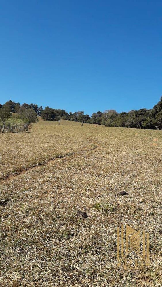 Chácara, 2 quartos, 7 hectares - Foto 3