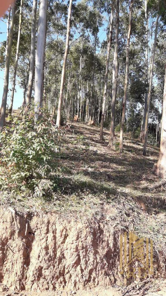 Chácara, 2 quartos, 7 hectares - Foto 6