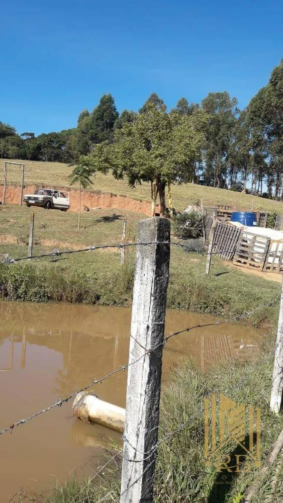 Sítio, 2 quartos, 7 hectares - Foto 15