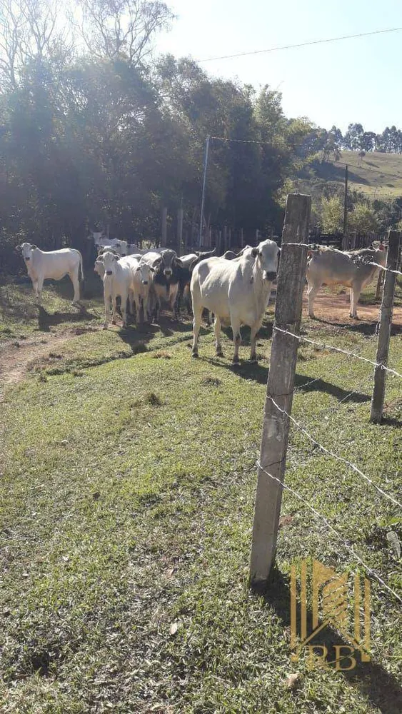 Chácara, 2 quartos, 7 hectares - Foto 8