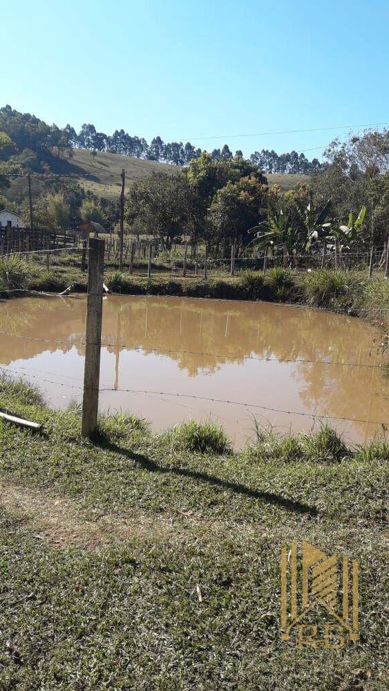 Chácara, 2 quartos, 7 hectares - Foto 4