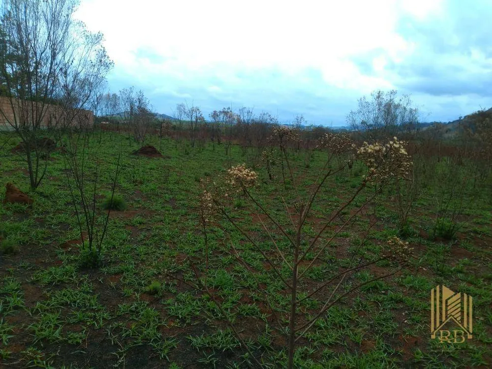 Terreno, 2000 m² - Foto 2