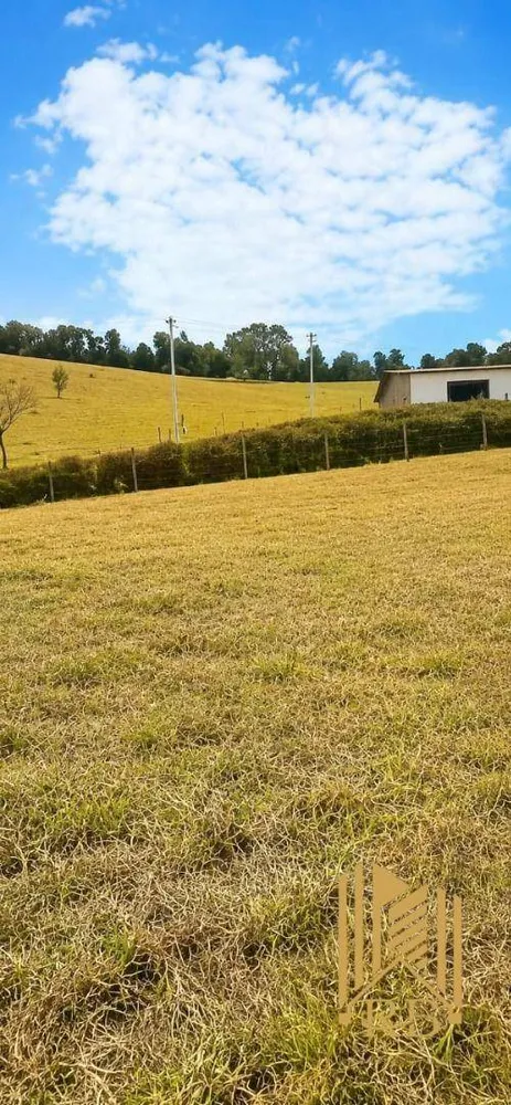 Terreno, 12 hectares - Foto 1