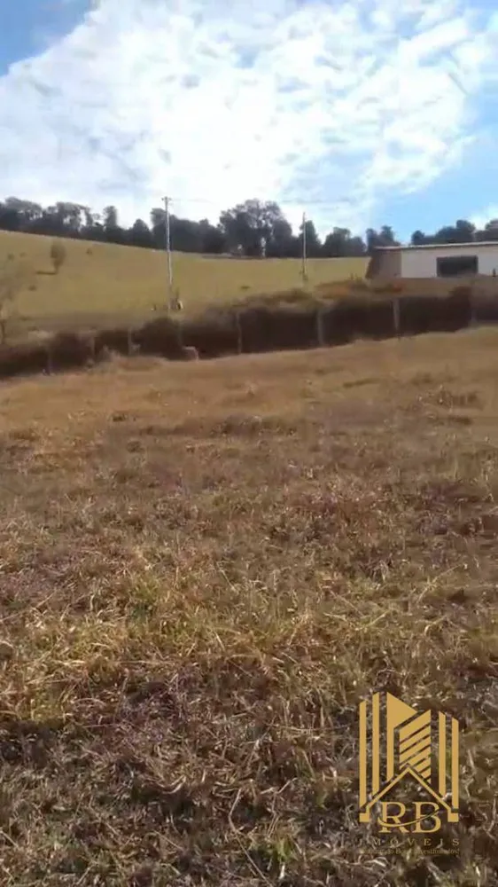 Terreno, 12 hectares - Foto 3