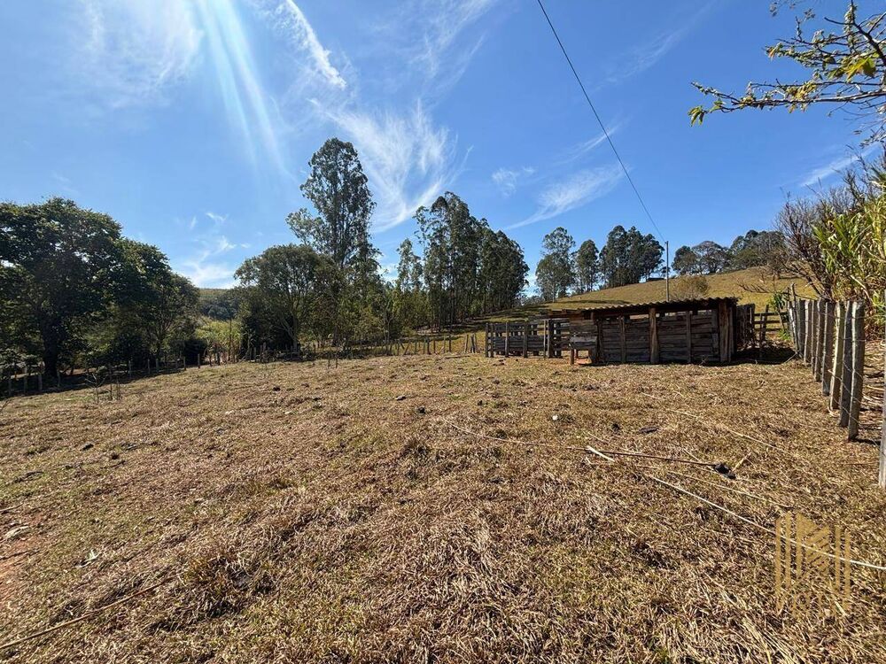 Sítio à venda com 2 quartos, 48000M2 - Foto 8