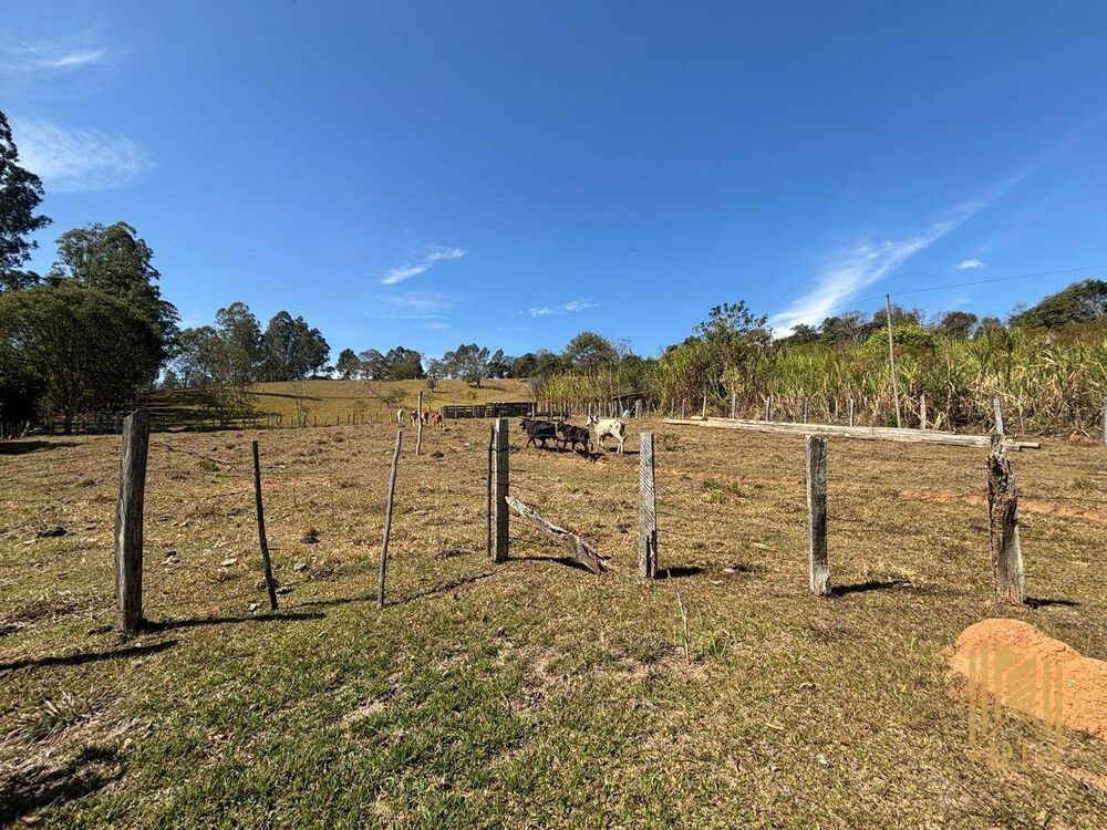 Sítio à venda com 2 quartos, 48000M2 - Foto 11