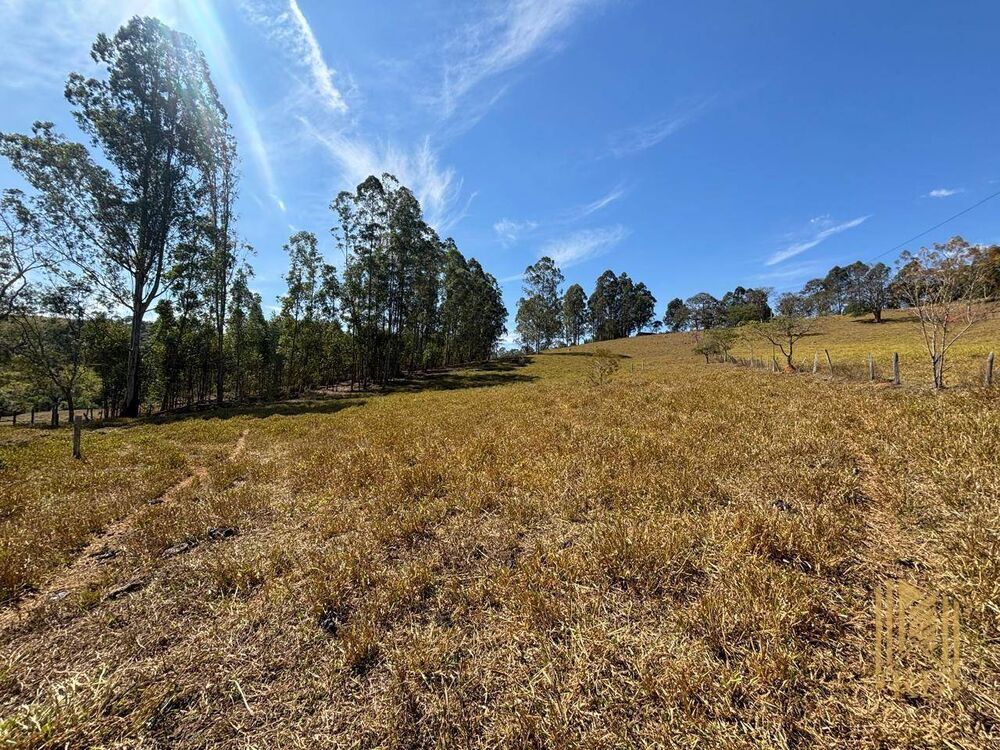 Sítio à venda com 2 quartos, 48000M2 - Foto 5