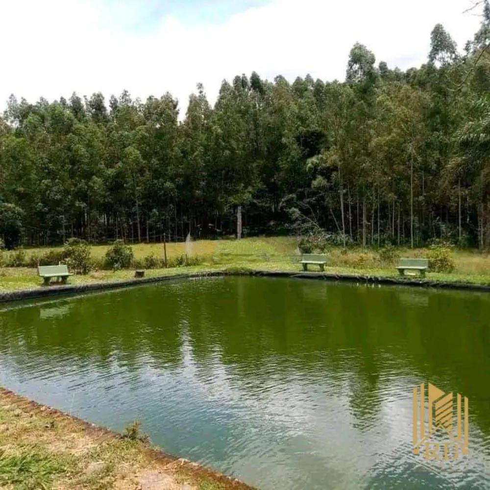 Chácara, 3 quartos, 6000 m² - Foto 1
