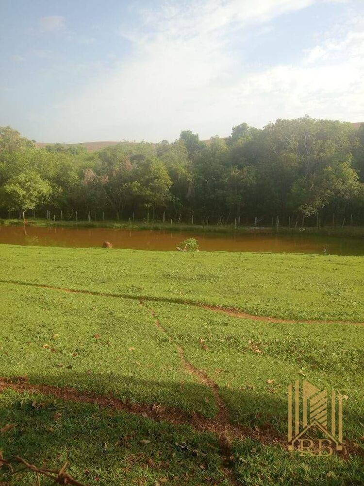 Terreno, 6 hectares - Foto 1