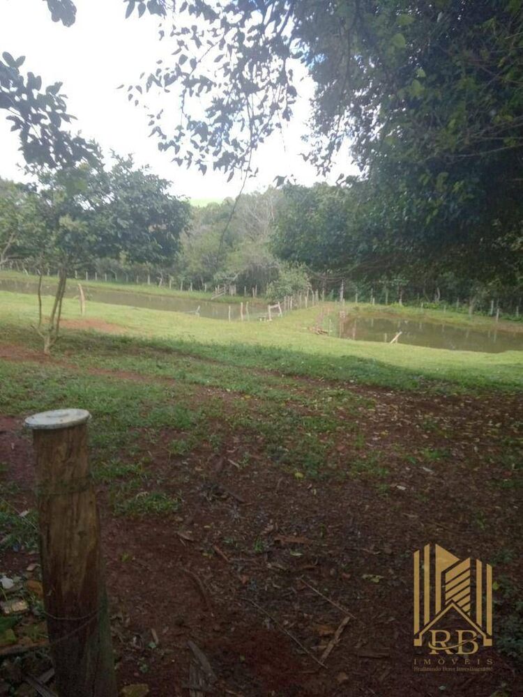 Terreno, 6 hectares - Foto 2