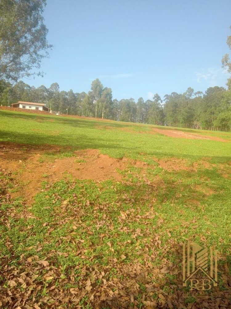 Terreno, 6 hectares - Foto 7