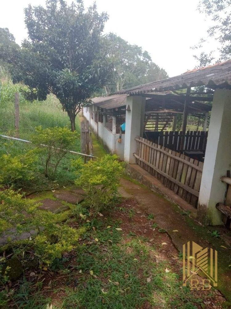 Terreno, 6 hectares - Foto 3