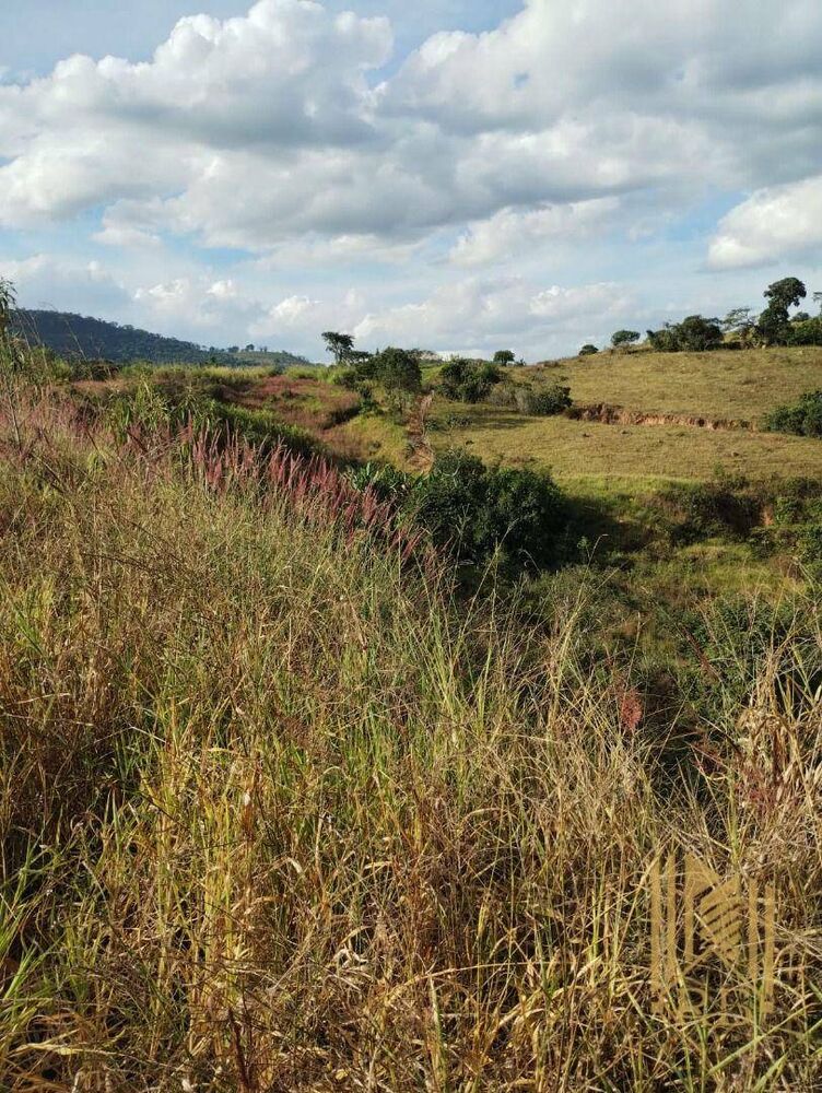 Terreno, 6 hectares - Foto 3