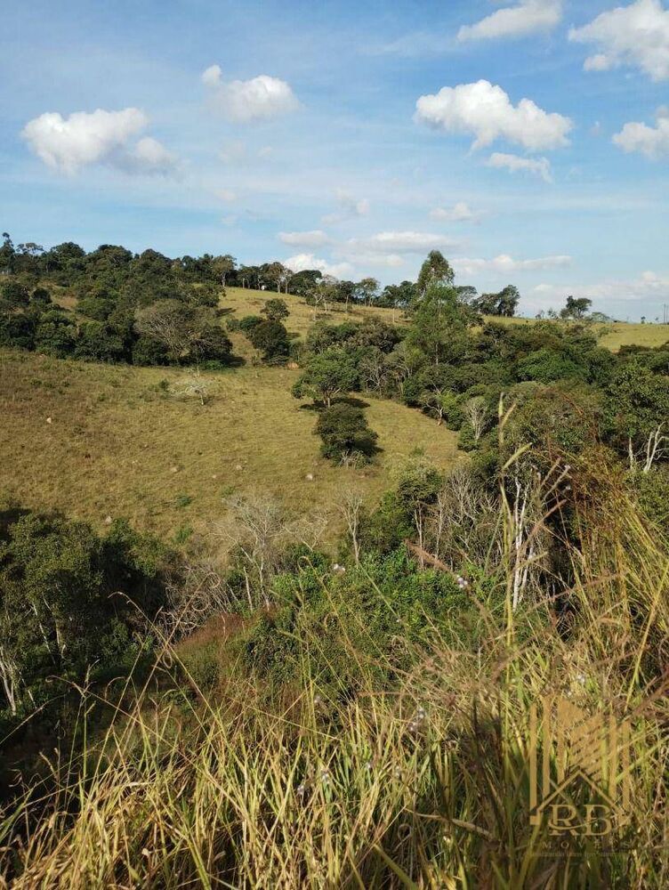 Terreno, 6 hectares - Foto 1