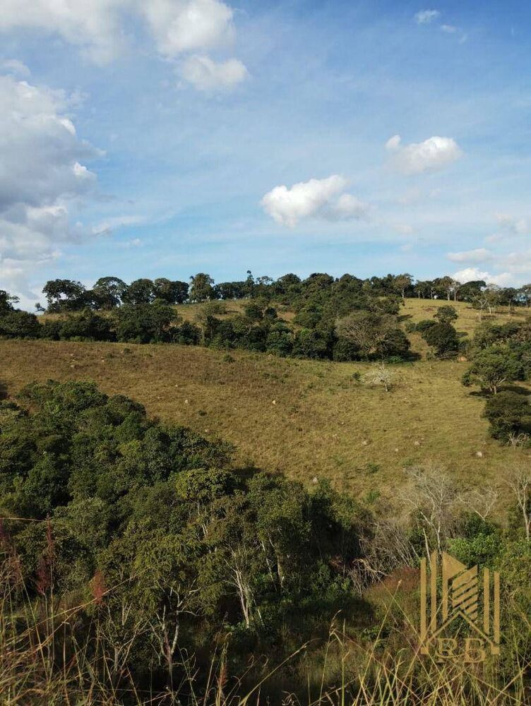 Terreno, 6 hectares - Foto 2