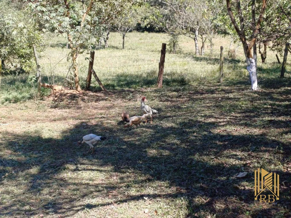 Chácara, 2 quartos, 1 hectares - Foto 10