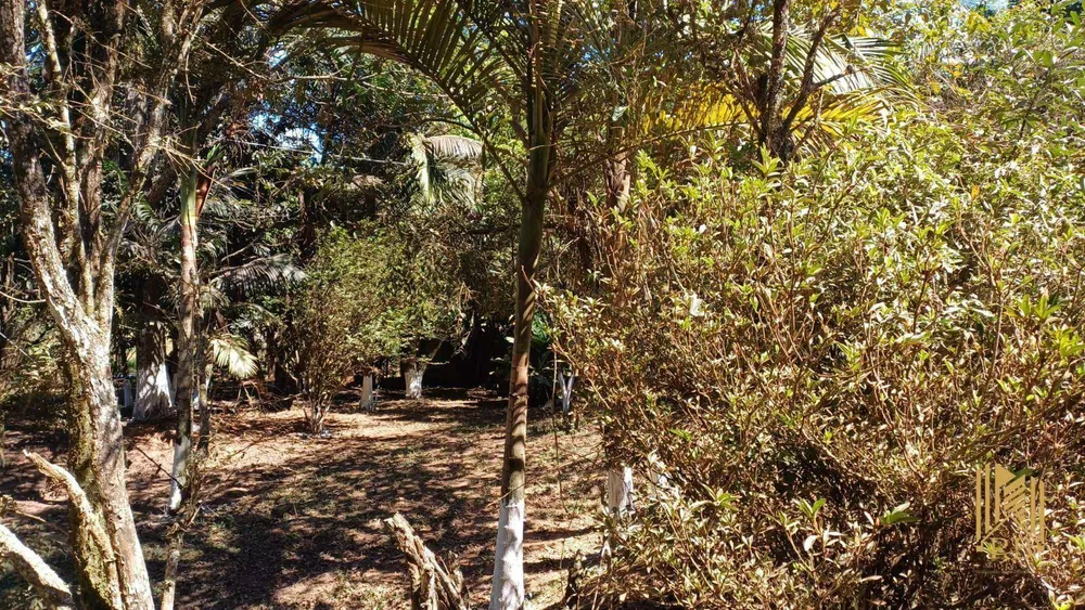 Chácara, 2 quartos, 1 hectares - Foto 7