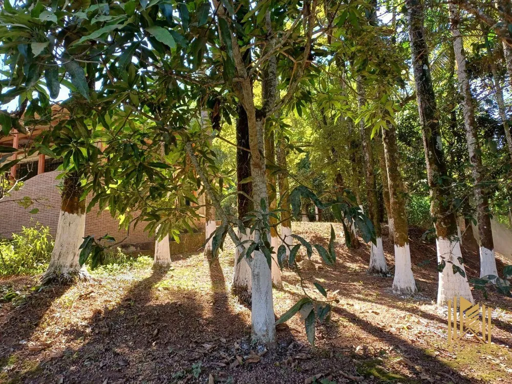 Chácara, 2 quartos, 1 hectares - Foto 8
