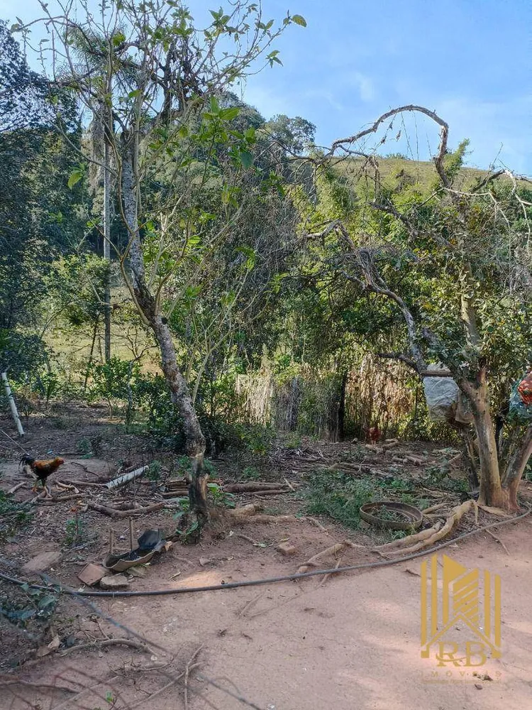 Chácara, 3 quartos, 7000 m² - Foto 13