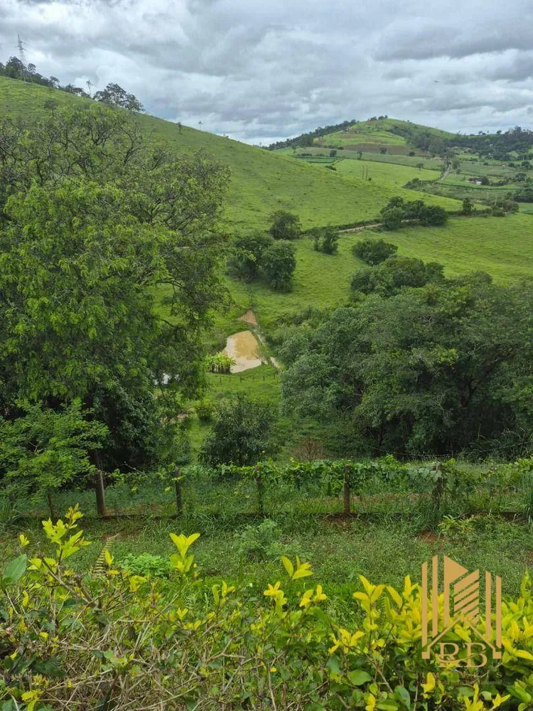 Chácara, 2 hectares - Foto 3
