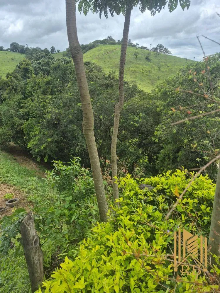 Chácara, 2 hectares - Foto 2