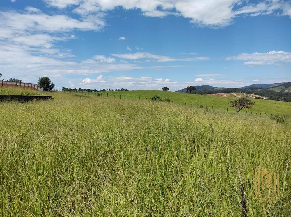 Terreno, 6000 m² - Foto 3
